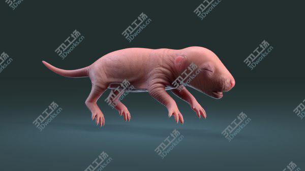 images/goods_img/20210312/Rat Baby Newborn Collection model/3.jpg